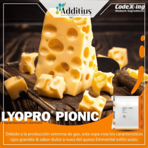 cultivo para hacer quesos con oyos grandes